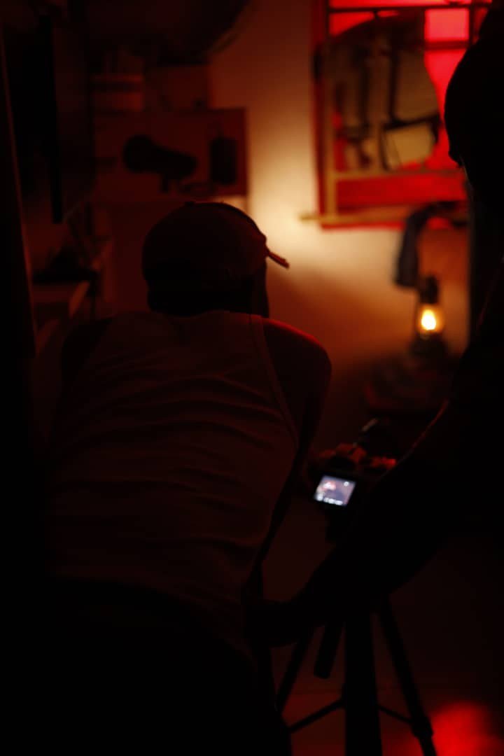 Recent Shoots / 15