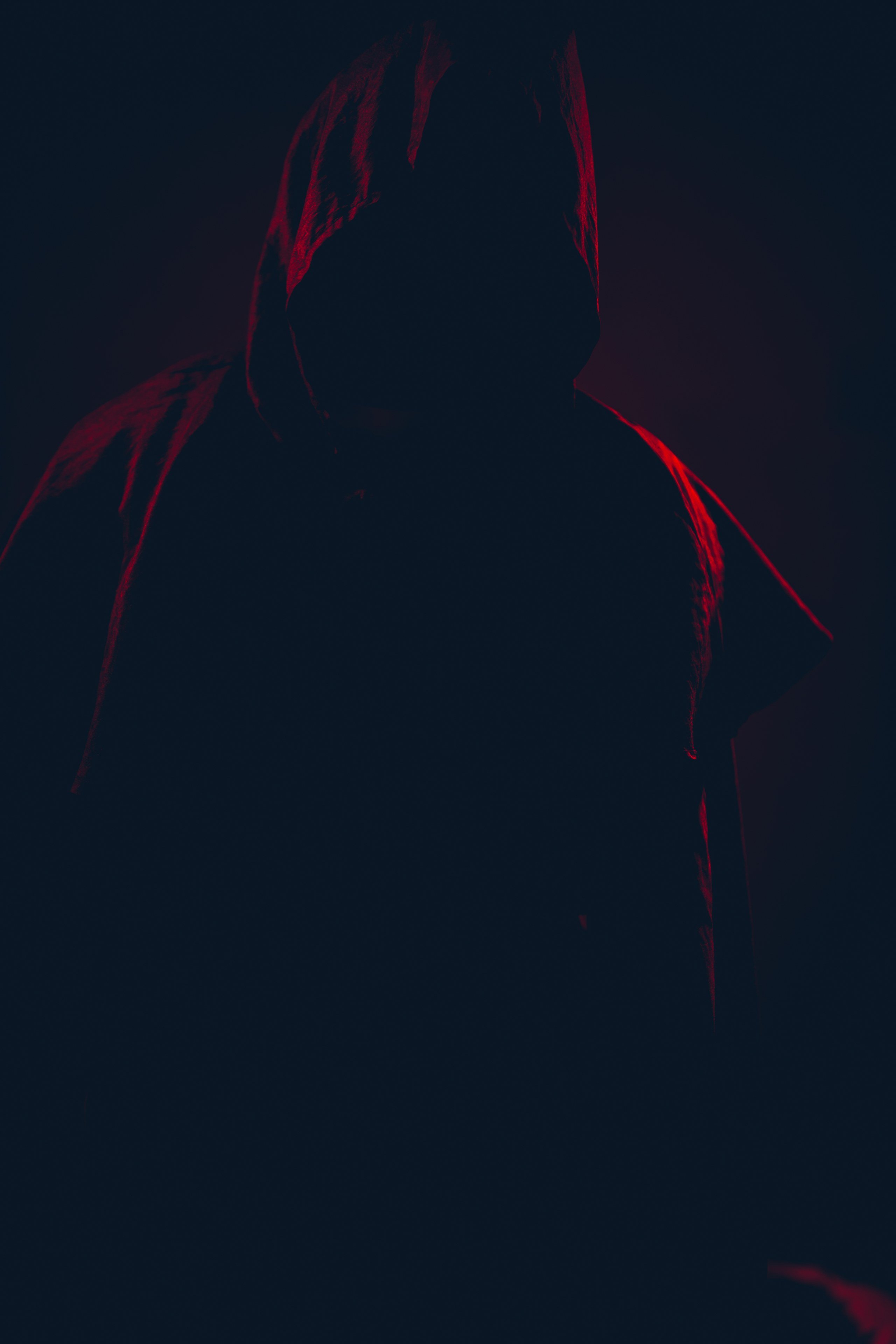 Recent Shoots / 38