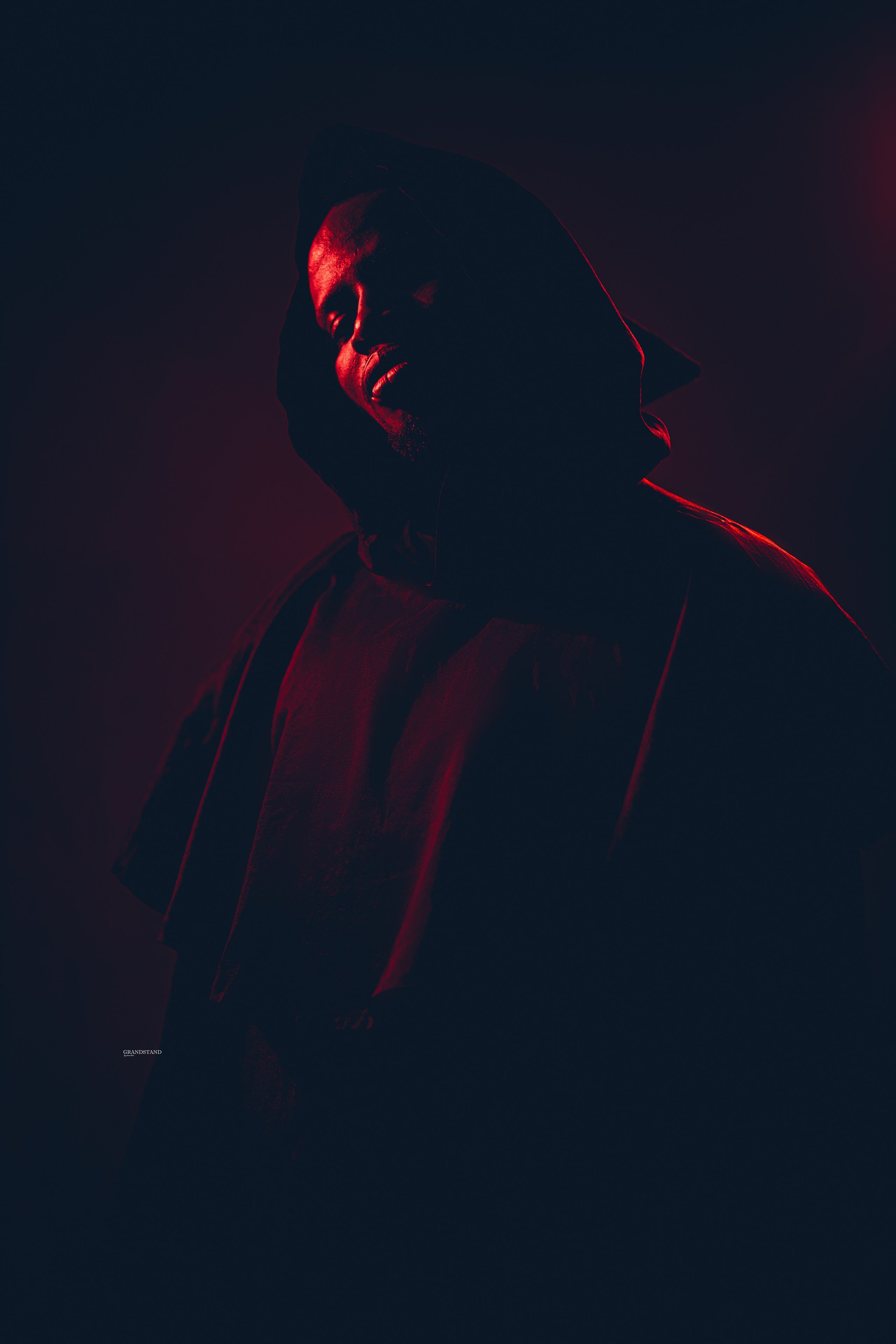 Recent Shoots / 39